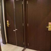 入り口ドアとクローゼット（左の鏡部分）
