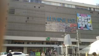 混雑しすぎで、B1階は買い物に向かなくなってしまった感がある駅ビル