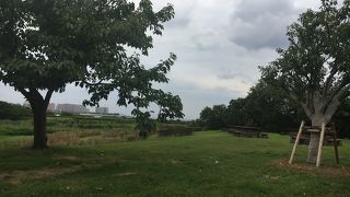 パークトレインで回った