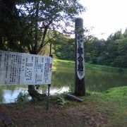 池の周りの公園