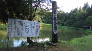 池の周りの公園