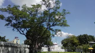 心地よい公園に…