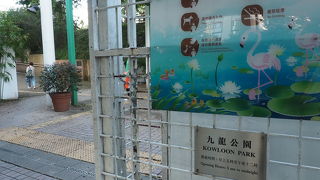 香港の人たちの憩いの場