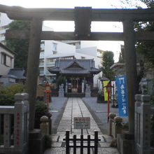 高田総鎮守の氷川神社の入口の鳥居と参道の奥の本堂の様子です。