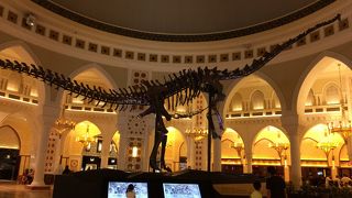 ショッピングモール内に大きな恐竜の化石！！