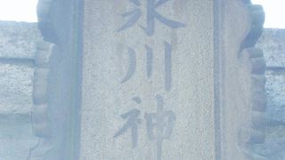 高田総鎮守氷川神社は、将軍徳川家光から祈願を申しつけられる等、信心を寄せられた神社です。