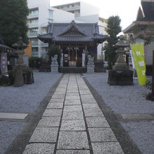 高田総鎮守の氷川神社の本堂に延びている石畳の参道です。