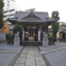 高田総鎮守の氷川神社の本堂です。とても端正な感じがします。