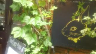 青山通りから一本裏路地に入ったアボカド料理の美味しいお店