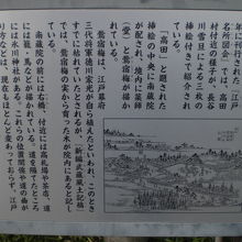 江戸時代の高田村の解説です。将軍の植えた鶯宿梅もあります。