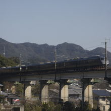 つばめ型かもめ