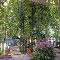 レセプション近くは植物園のようです