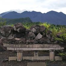 お店の奥にある鳥居と桜島