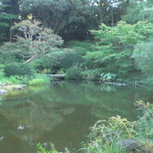 甘泉公園の甘泉園の清水を湛える池です。湧き水の池のようです。