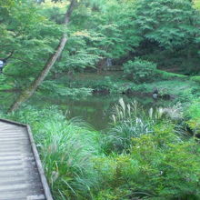 甘泉園公園の甘泉園の周りには、縦横に、遊歩道が設けられていま