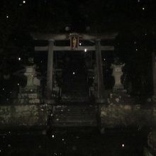 入口の鳥居の傍から既に漆黒の闇で覆われていました