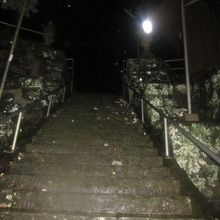 本殿に続く石段。雨の日は滑りやすいので要注意です！