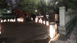 浅草燈籠祭の燈籠アートを見るならここ