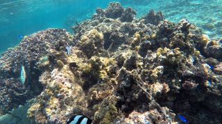 シュノーケリングの名所