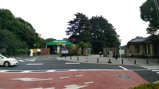 夏も生き生きとした緑色の植物を鑑賞するのに最適