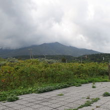 野塚展望台から見た利尻富士