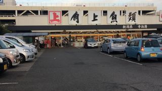 刺身がおいしい