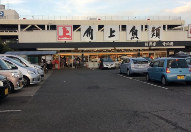 上 魚類 角
