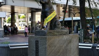 黄色いタスキが可愛らしい