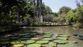 緑豊かな市民公園