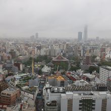 レストランからの眺め　スカイツリーと浅草寺