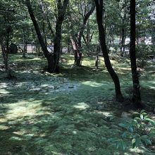 苔の庭…静かだ