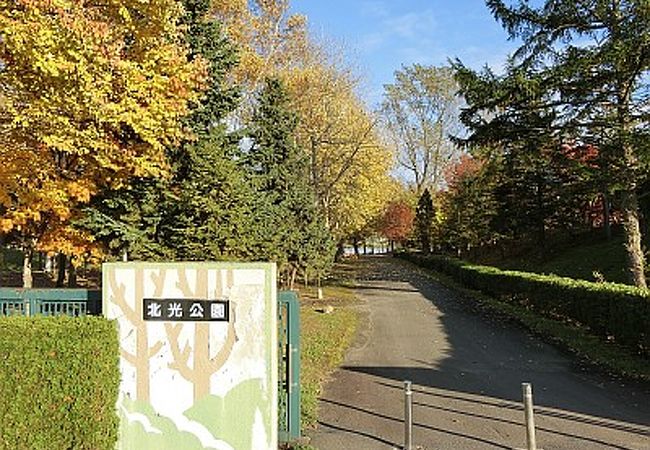 大きな沼がある公園