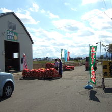 パープルロード沿いの玉ねぎ直売所