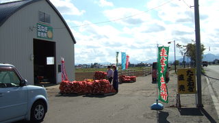 （再訪）秋はオニオンロードになります