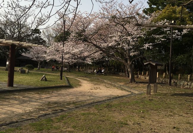 21年中止 明石公園さくらまつり クチコミ アクセス 営業時間 明石 フォートラベル