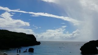 ニモもいっぱい！