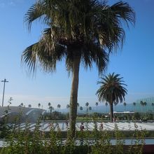 窓側のカウンター席からこの景色を見ながら朝食です