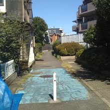 練馬区内では田柄用水跡の青地を歩道・自転車道に利用