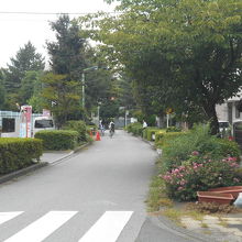 田柄地区に入ると、現在の緑道の北側を流れていたというが