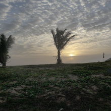 海岸線の夕焼け