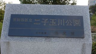 二子玉川の駅を降りて，ライズを通りぬけた先にあります。きれいな公園です。オススメです。