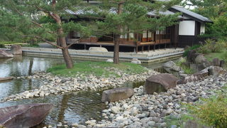 いつこんな公園が出来たのでしょうか。まあ，いい和風の回遊式庭園です。