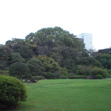 大隈庭園の様子です。広い芝生と濃緑色の樹々と建物が見えます。
