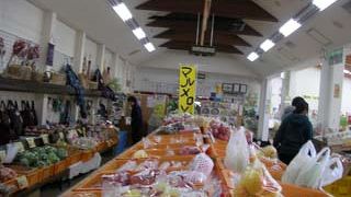 地物の物産を売っています