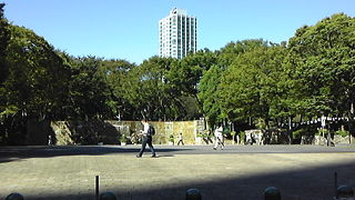 ブルーシートも