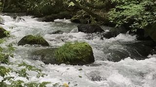 散歩道完備の綺麗な渓流！