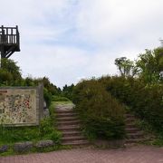 山腹にある広大な公園