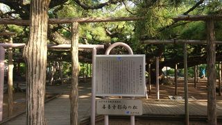 圧倒的な迫力でした