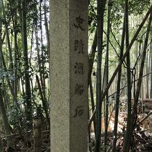 酒船石の向こうは雑木林