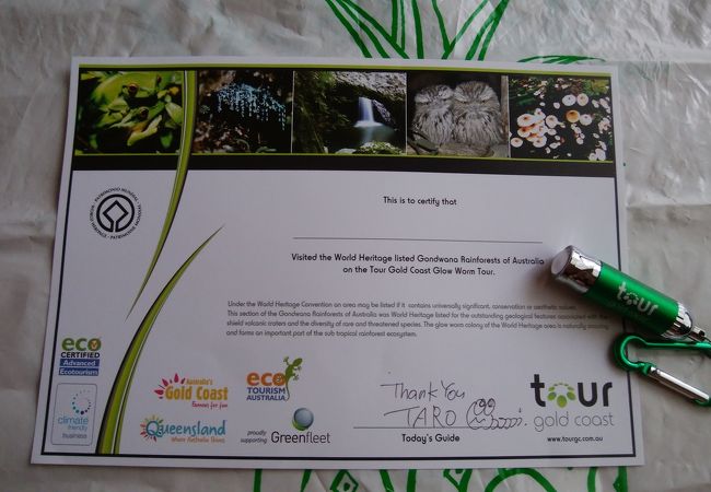 土ボタルツアー(スプリングブルック国立公園 ナチュラルブリッジ)